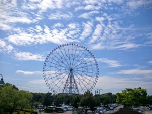 葛西臨海公園水仙まつり アクセス便利でデートにもおすすめ 埼玉県 東京都の花の名所とイベント