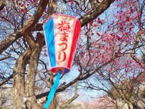 大宮第二公園梅まつりのぼんぼり