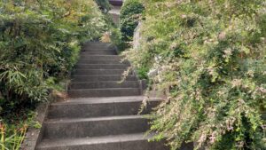 秋の七草寺巡り　洞昌院の萩