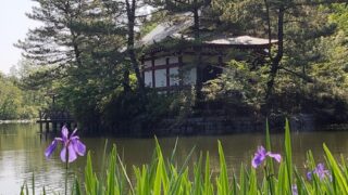 三法寺池のかきつばたと厳島神社