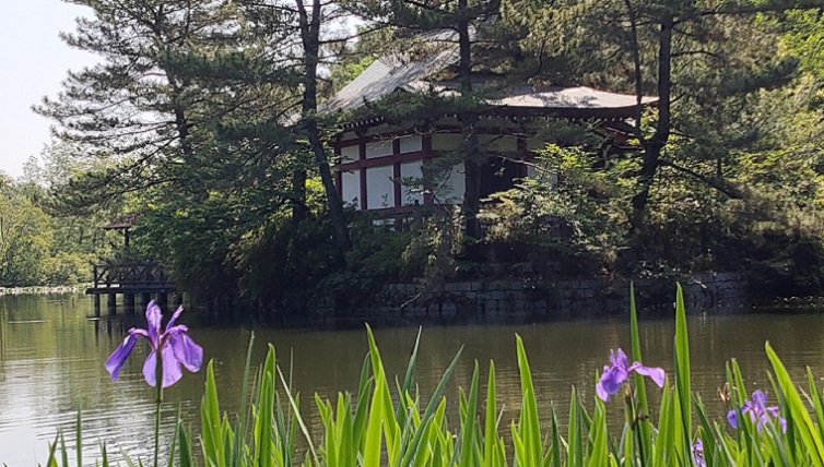 三法寺池のかきつばたと厳島神社