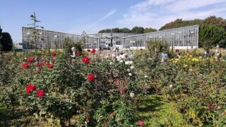 神代植物公園のバラと大温室