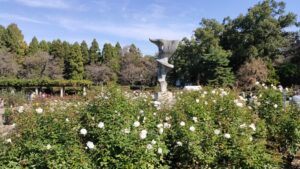 神代植物公園のモニュメントとバラ