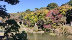 肥後細川庭園の紅葉