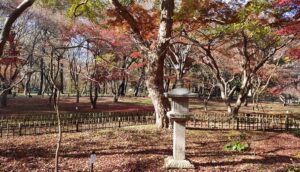 神代植物公園の灯篭と紅葉