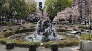 荒川公園の桜と噴水