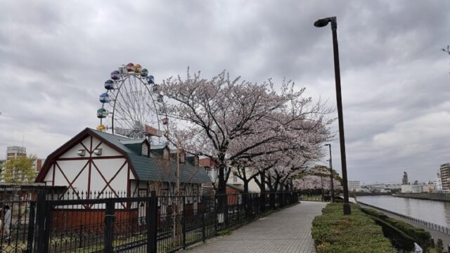 あらかわ遊園の観覧車と桜