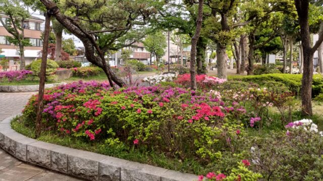 南篠崎つつじ公園のツツジの花壇