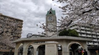 赤羽公園の桜と時計台