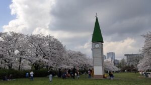 猿江恩賜公園の桜と時計台