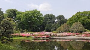 神代植物公園のつつじ園と池