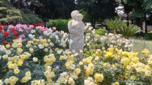 砧公園のバラと母子像
