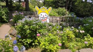 多摩川台公園のゆるキャラの看板と紫陽花