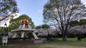 亀戸中央公園A地区の桜