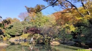 有栖川宮記念公園の池と紅葉
