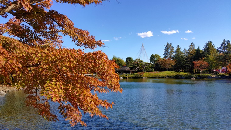 昭和記念公園日本庭園の池と紅葉