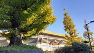 北の丸公園日本武道館とイチョウの黄葉