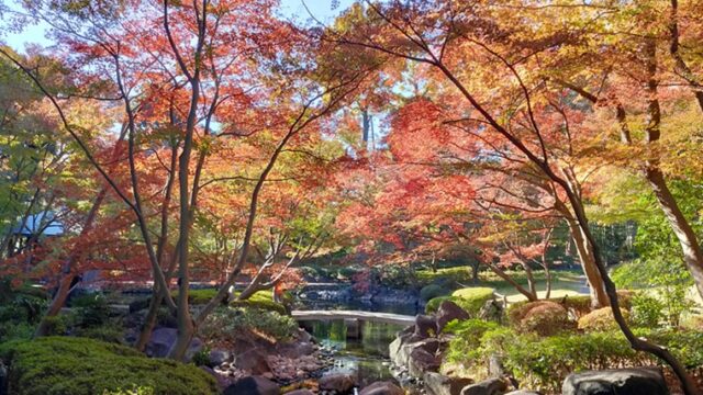 大田黒公園日本庭園の紅葉