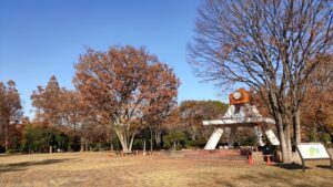 亀戸中央公園A地区の時計台と紅葉するケヤキ