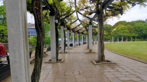 武蔵国分寺公園フジの回廊