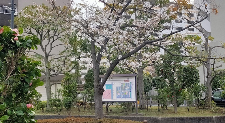 前谷津川緑道高島平9丁目の桜