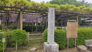 拝島公園のフジと石碑