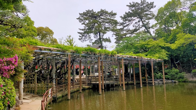 久伊豆神社の藤棚と池