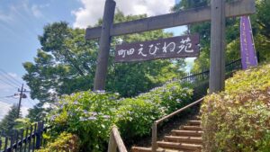 町田えびね苑の入口と紫陽花