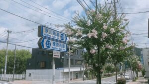 武蔵五日市駅近くの都道33号のサルスベリ