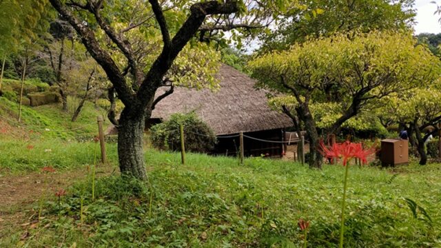 薬師池公園の彼岸花と旧永井家住宅