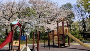 都立赤塚公園辻山地区の桜