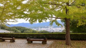 秩父ミューズパークのイチョウと秩父市の市街地