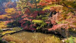 御殿山庭園の紅葉