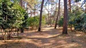 森林公園椿園