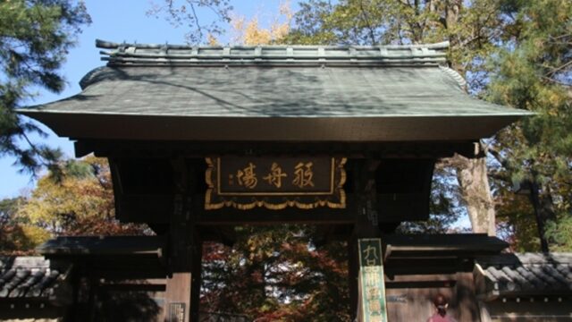 九品仏浄真寺の山門