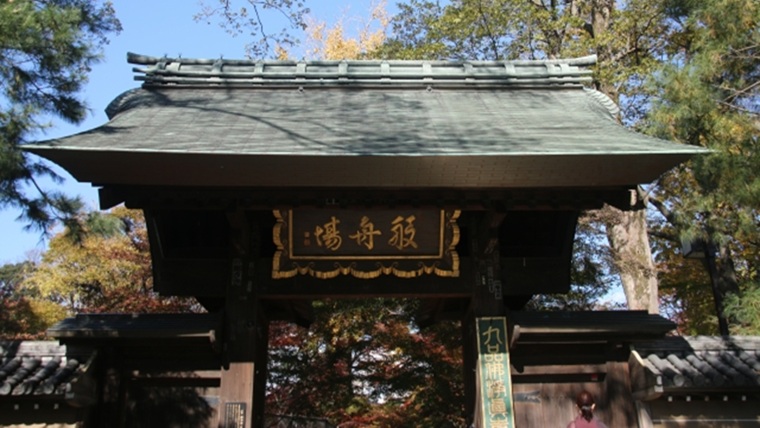 九品仏浄真寺の山門