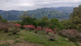 宝登山つつじ園と周囲の山