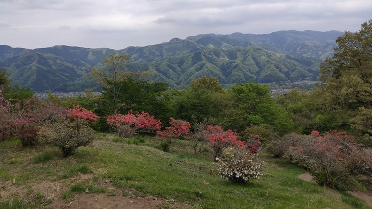 宝登山つつじ園と周囲の山