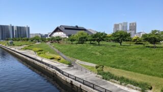 汐入公園の桜並木と隅田川