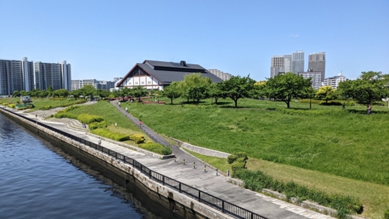 汐入公園の桜並木と隅田川
