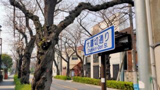 千住旭町の桜並木(大踏切通り)