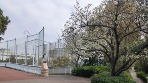 清新町・臨海町緑道の桜