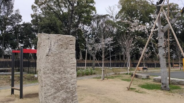 しながわ区民公園さくらの広場の桜