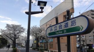 立会道路【西小山桜並木通り】