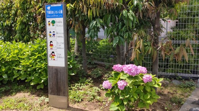下鎌田あじさい公園