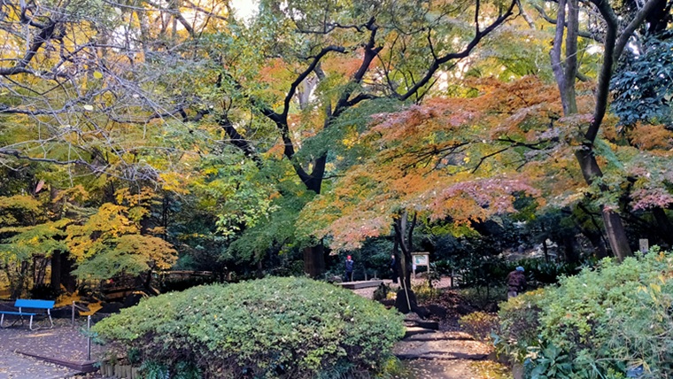 名主の森公園正門付近の紅葉