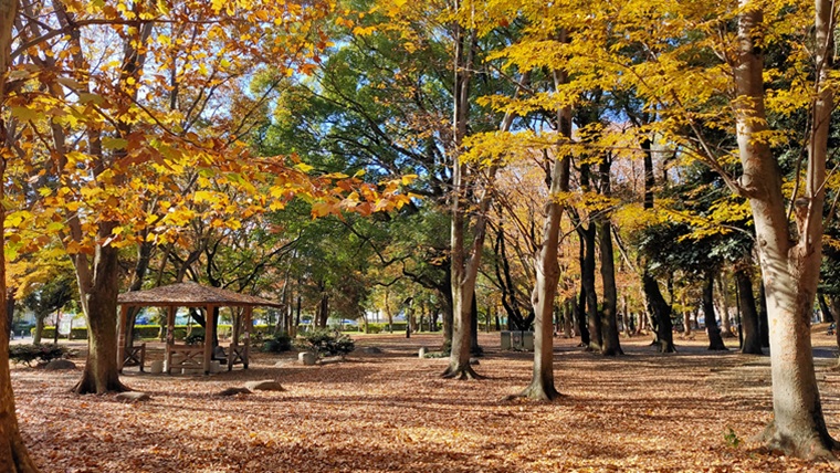 蘆花恒春園の紅葉