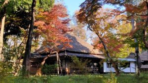 蘆花恒春園恒春園区域の紅葉