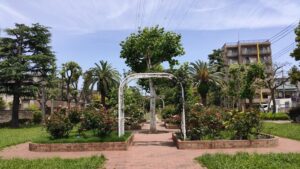 宇喜田東公園のバラ園