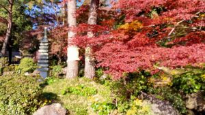 大宮公園日本庭園の紅葉
